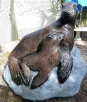 Sea Lion Mom And Baby 393