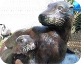 Sea Lion Mom And Baby 395