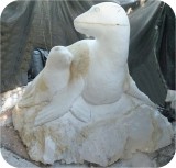 Sea Lion Mom And Baby CARVE 329