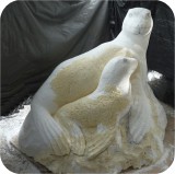 Sea Lion Mom And Baby CARVE2 337