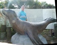 Sea Lion Rhoda Playground 396