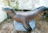 Sea Lion Rhoda Playground 401