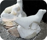 Sea Lion Rhoda Playground CARVE 332