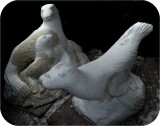 Sea Lion Rhoda Playground CARVE 336