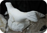 Sea Lion Rhoda Playground CARVE2 346