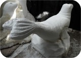 Sea Lion Rhoda Playground CARVE2 347
