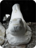 Sea Lion Rhoda Playground CARVE2 350
