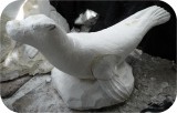Sea Lion Rhoda Playground CARVE2 351