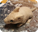 View Beach-Mouse-carve-852