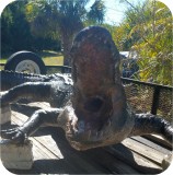 View Alligator-14ft-338