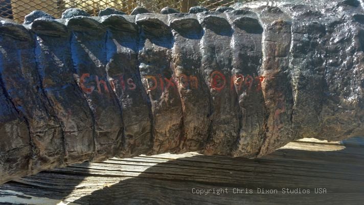 Alligator 14ft 227
