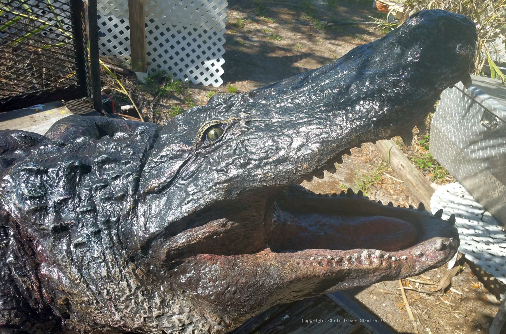 Alligator 14ft 258