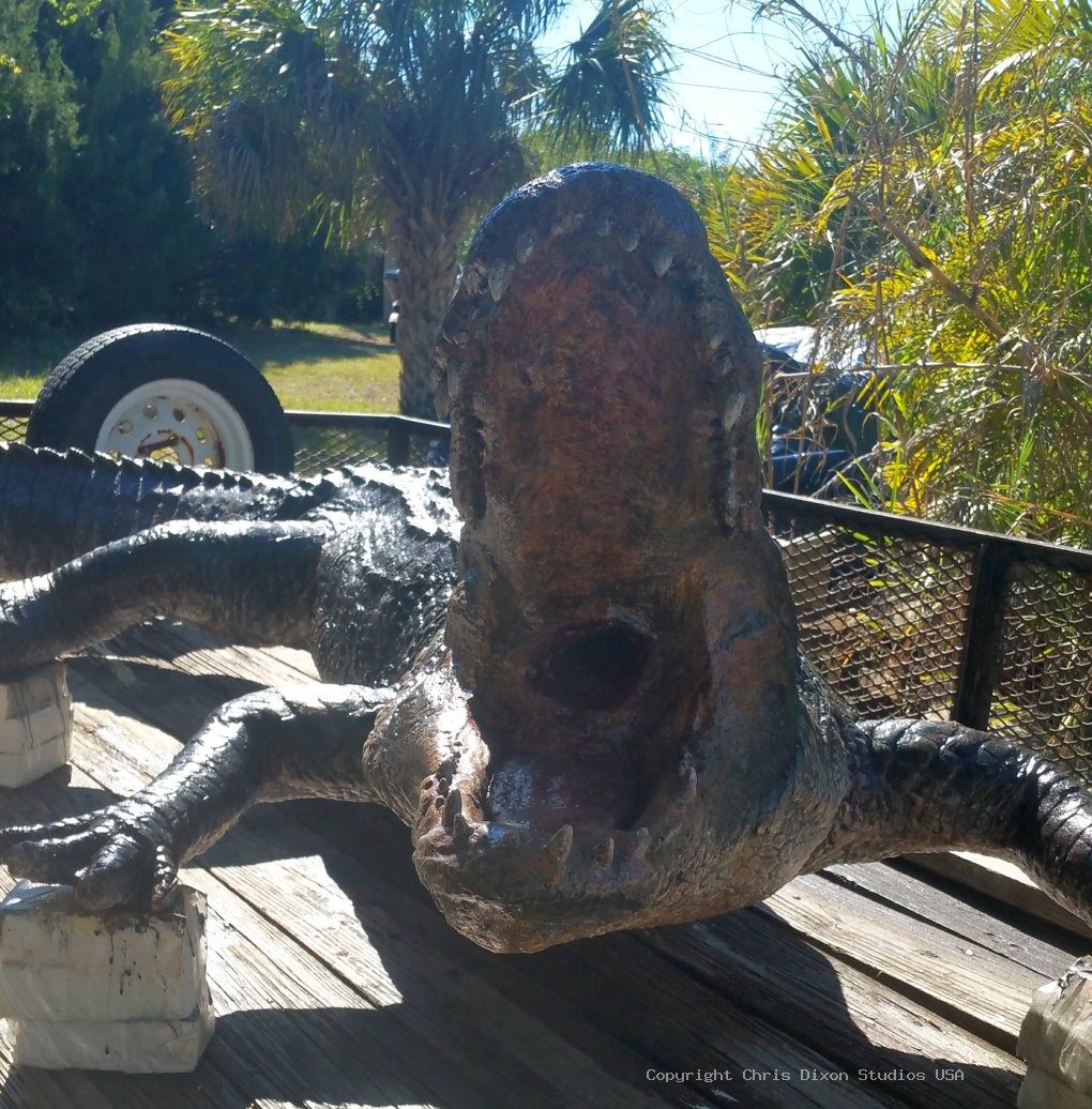 Alligator 14ft 338