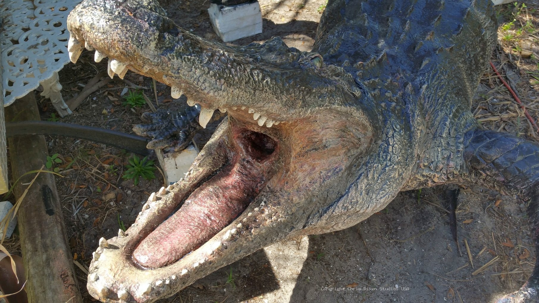 Alligator 14ft 843