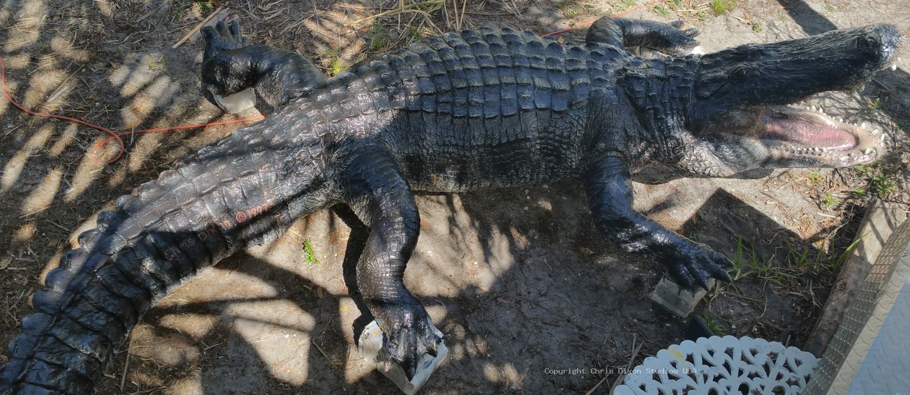 Alligator 14ft 941