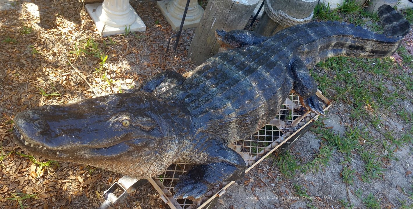 Alligator 8ft 109