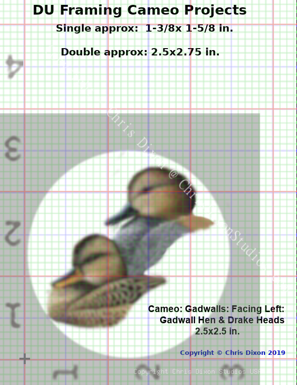 CAMEO Gadwalls Grid