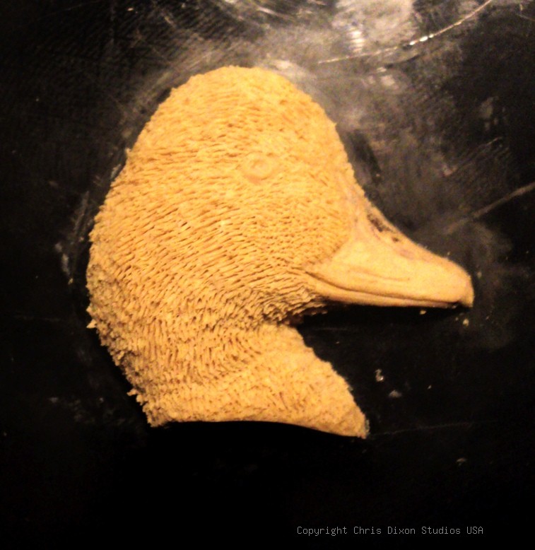CAMEO Goldeneye CLAY 712