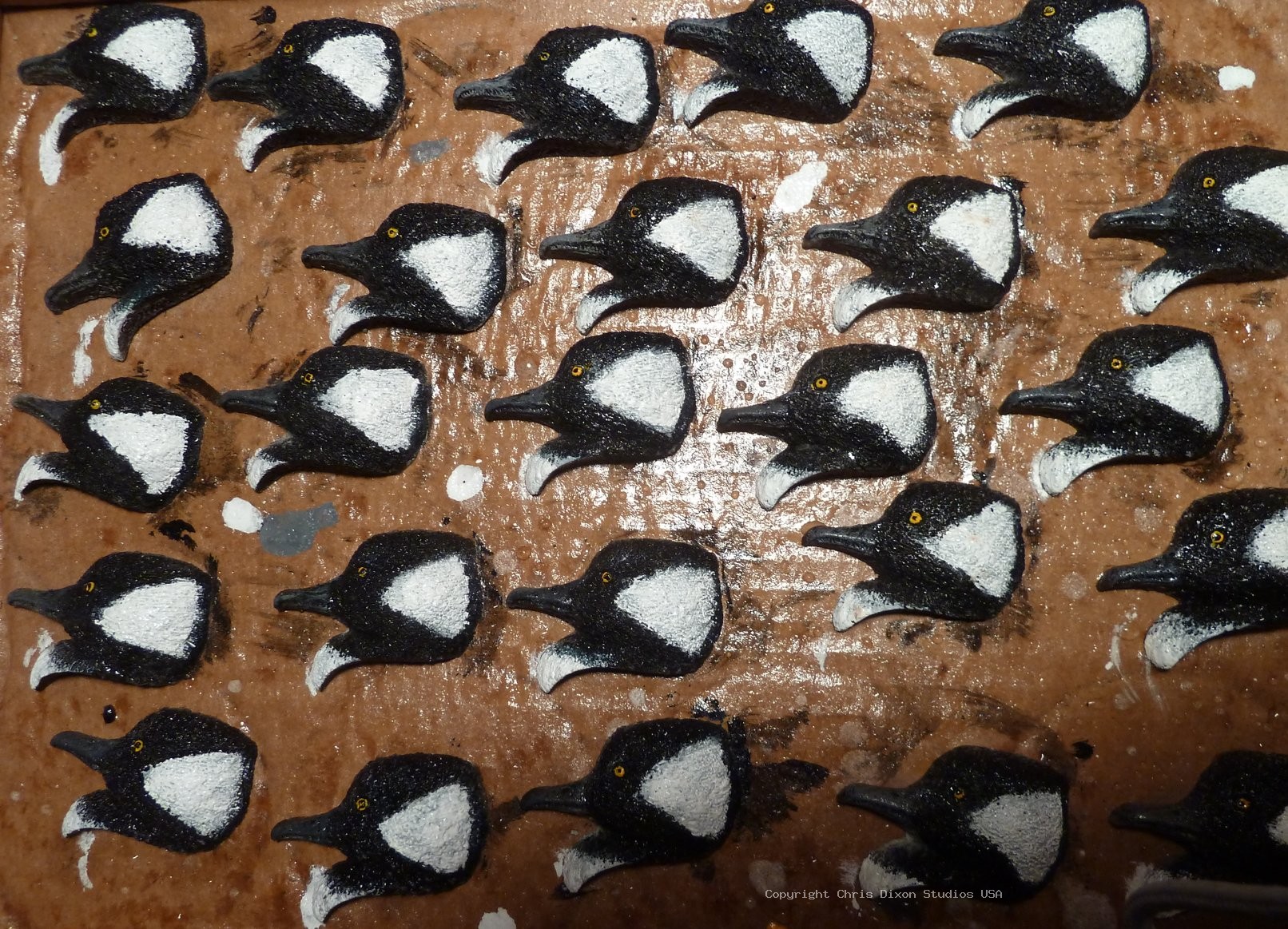 CAMEO Hooded Merganser 893