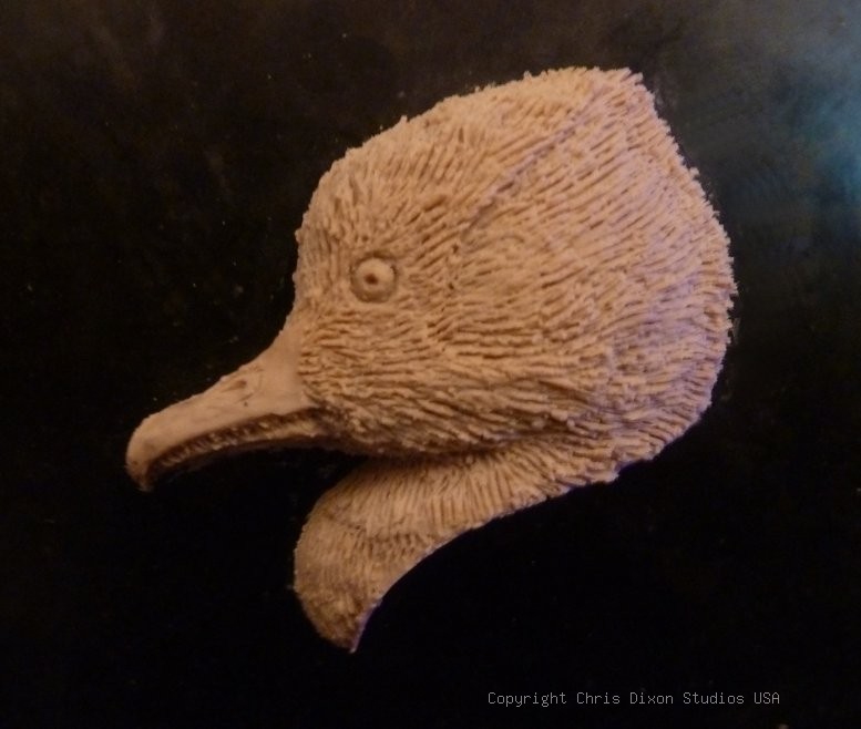 CAMEO Hooded Merganser CARVE
