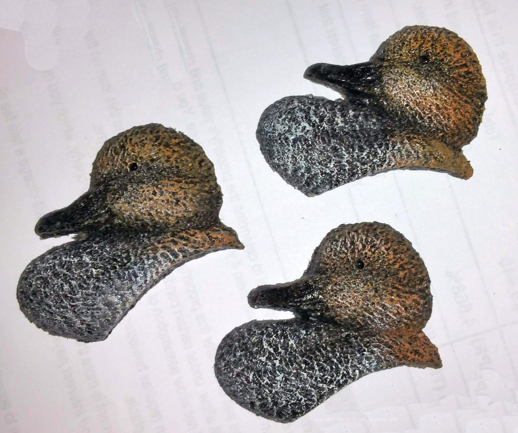 Cameo Gadwall 342