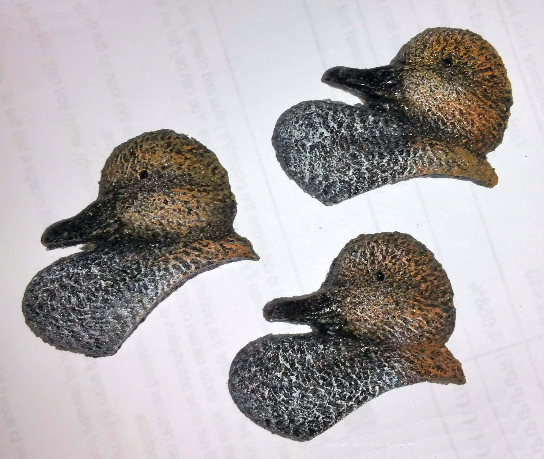 Cameo Gadwall 734