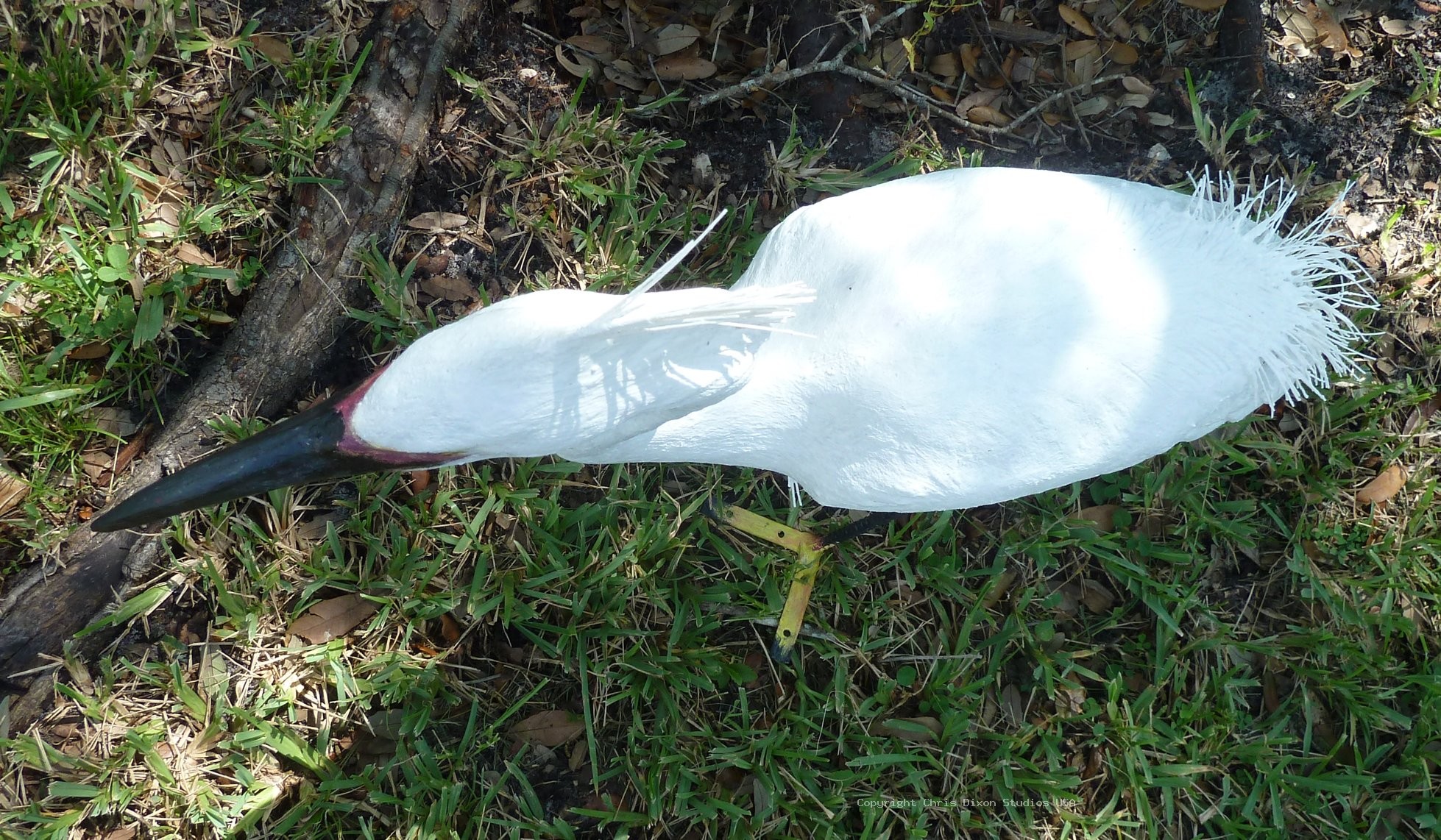 Snowy Egret Decoys 032