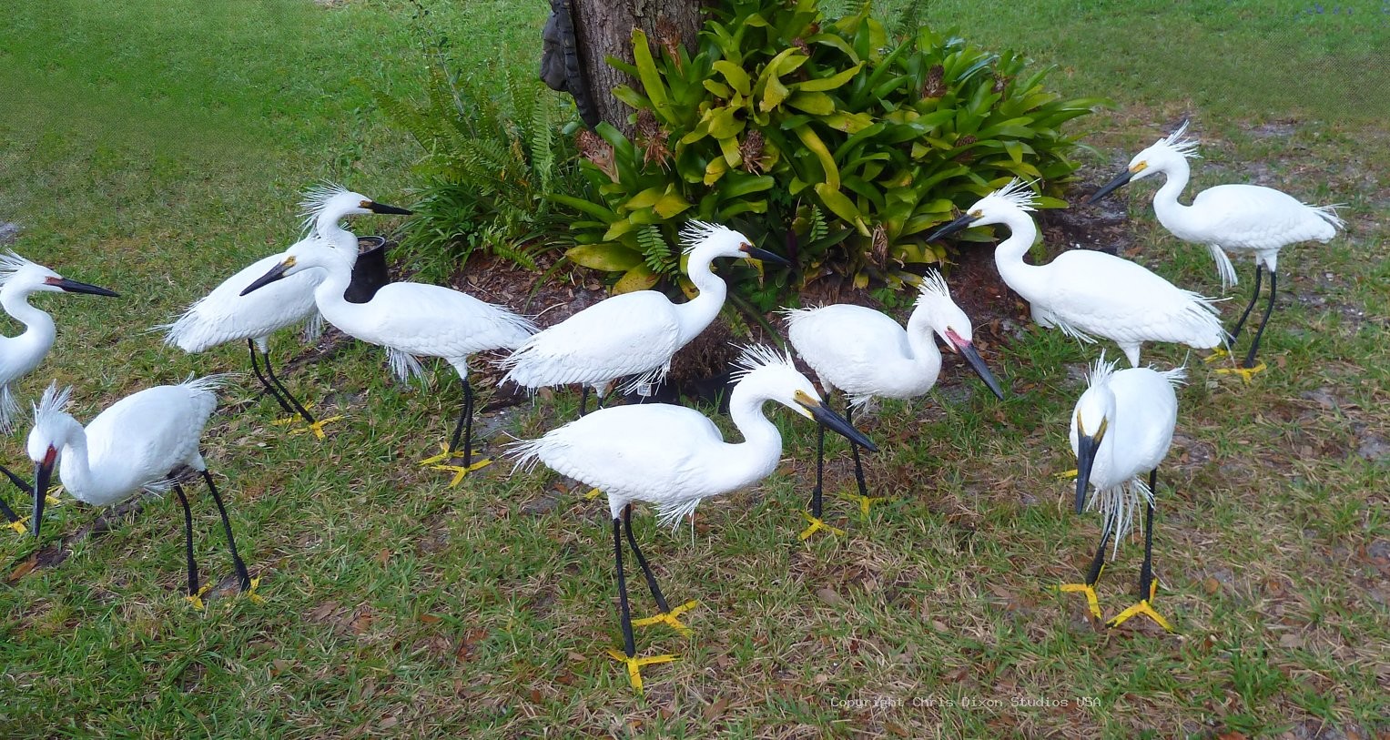 Snowy Egret Decoys 119