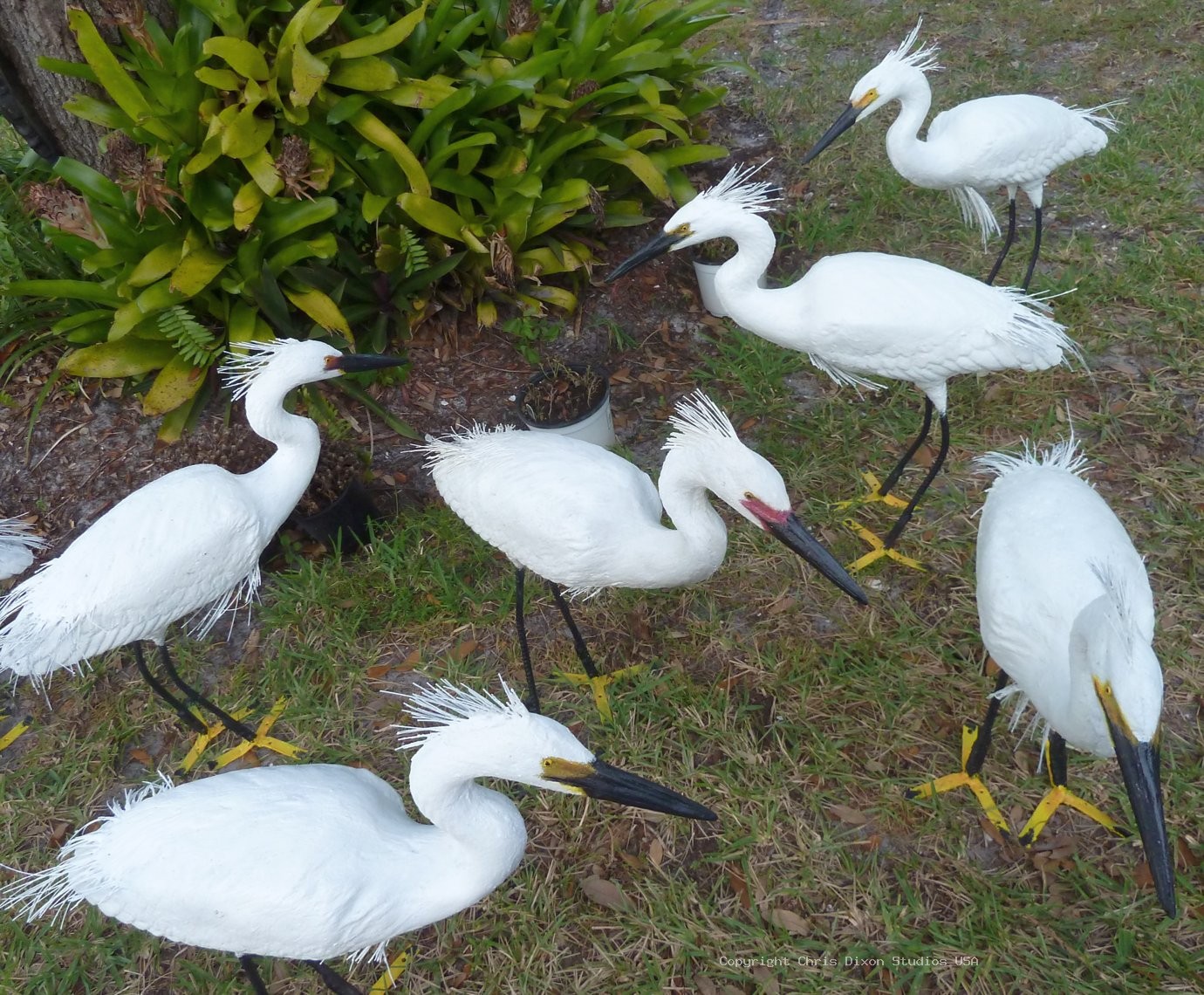 Snowy Egret Decoys 122