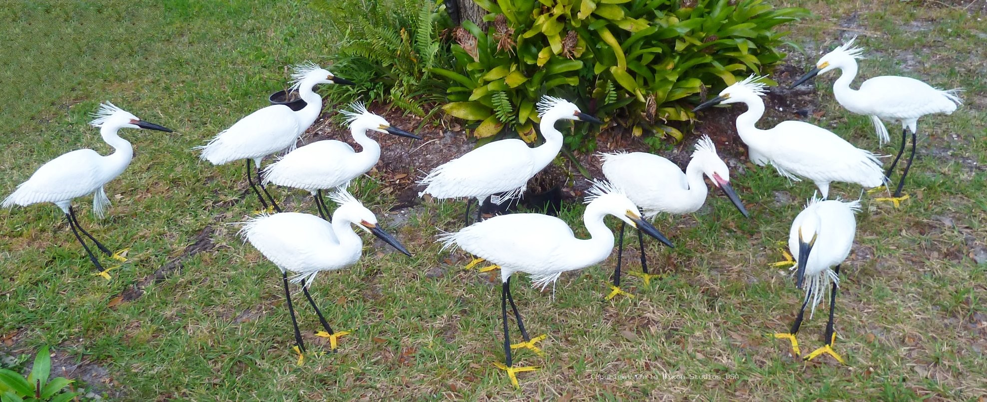 Snowy Egret Decoys 127
