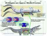 View Alligator-Ani-GRID