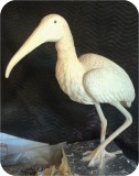 View Wood-Stork-Lifesize-16
