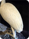 View Wood-Stork-Lifesize-55
