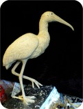 View Wood-Stork-Lifesize-57