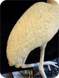 View Wood-Stork-Lifesize-61