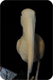 View Wood-Stork-Lifesize-65