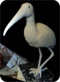 View Wood-Stork-Lifesize-66