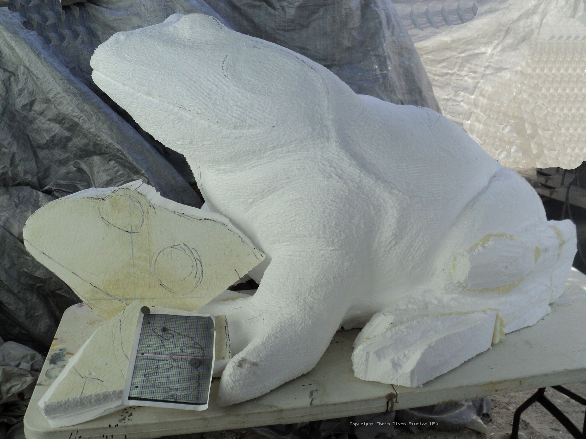 BullFrog3x5ft 22