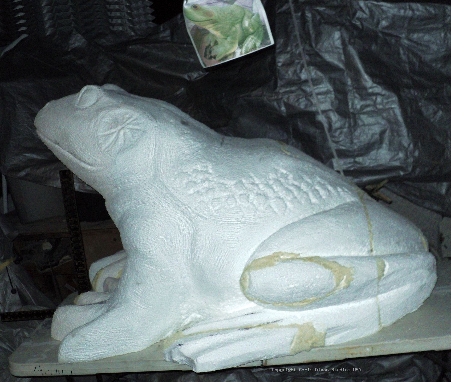 BullFrog3x5ft 31