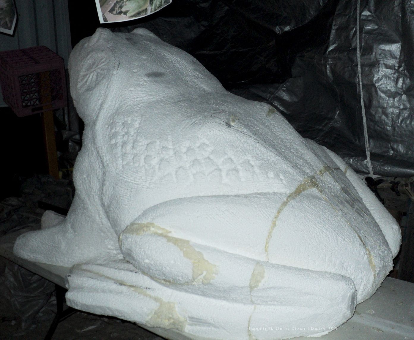 BullFrog3x5ft 33