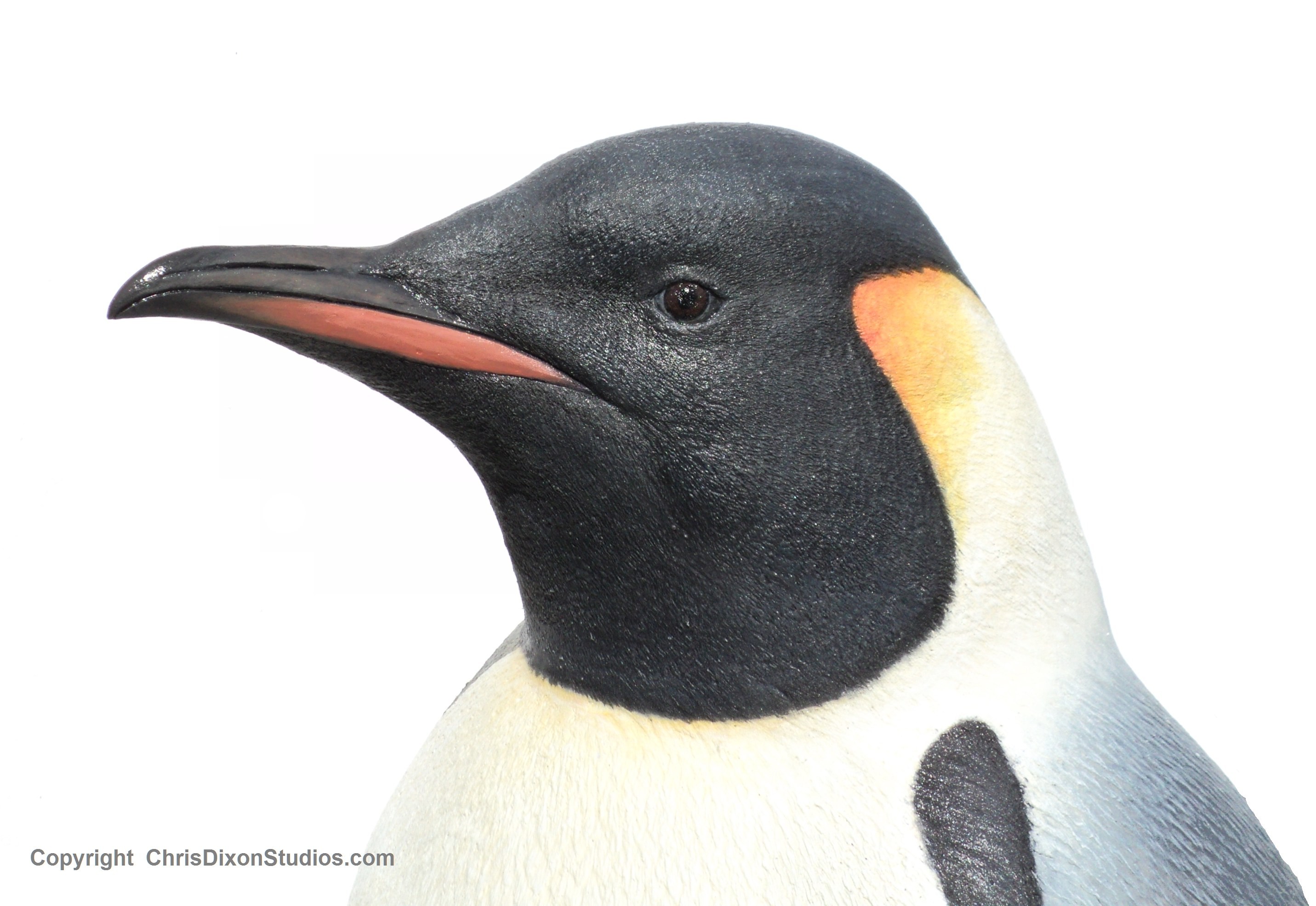 Emperor Penguins 33
