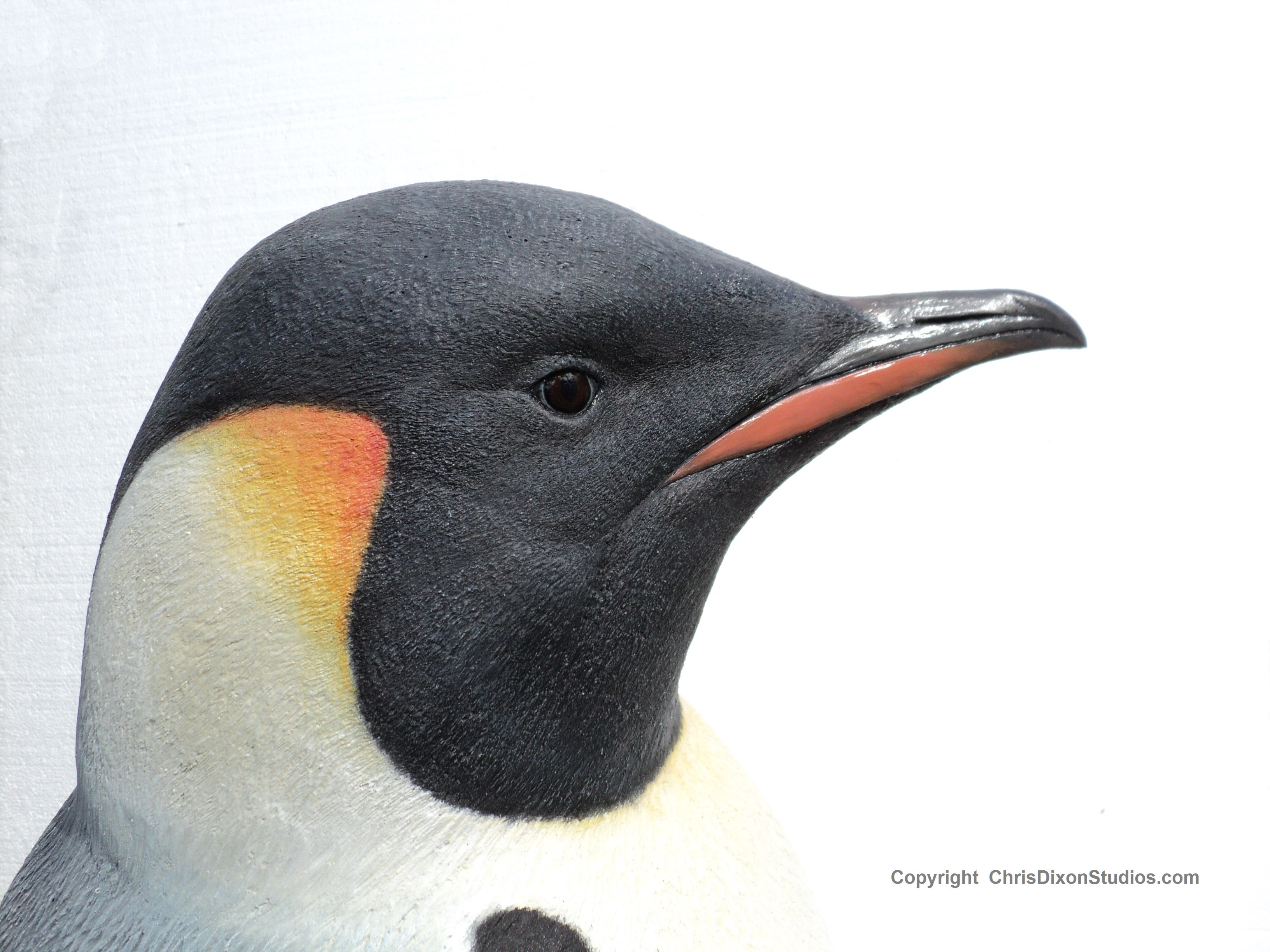 Emperor Penguins 40