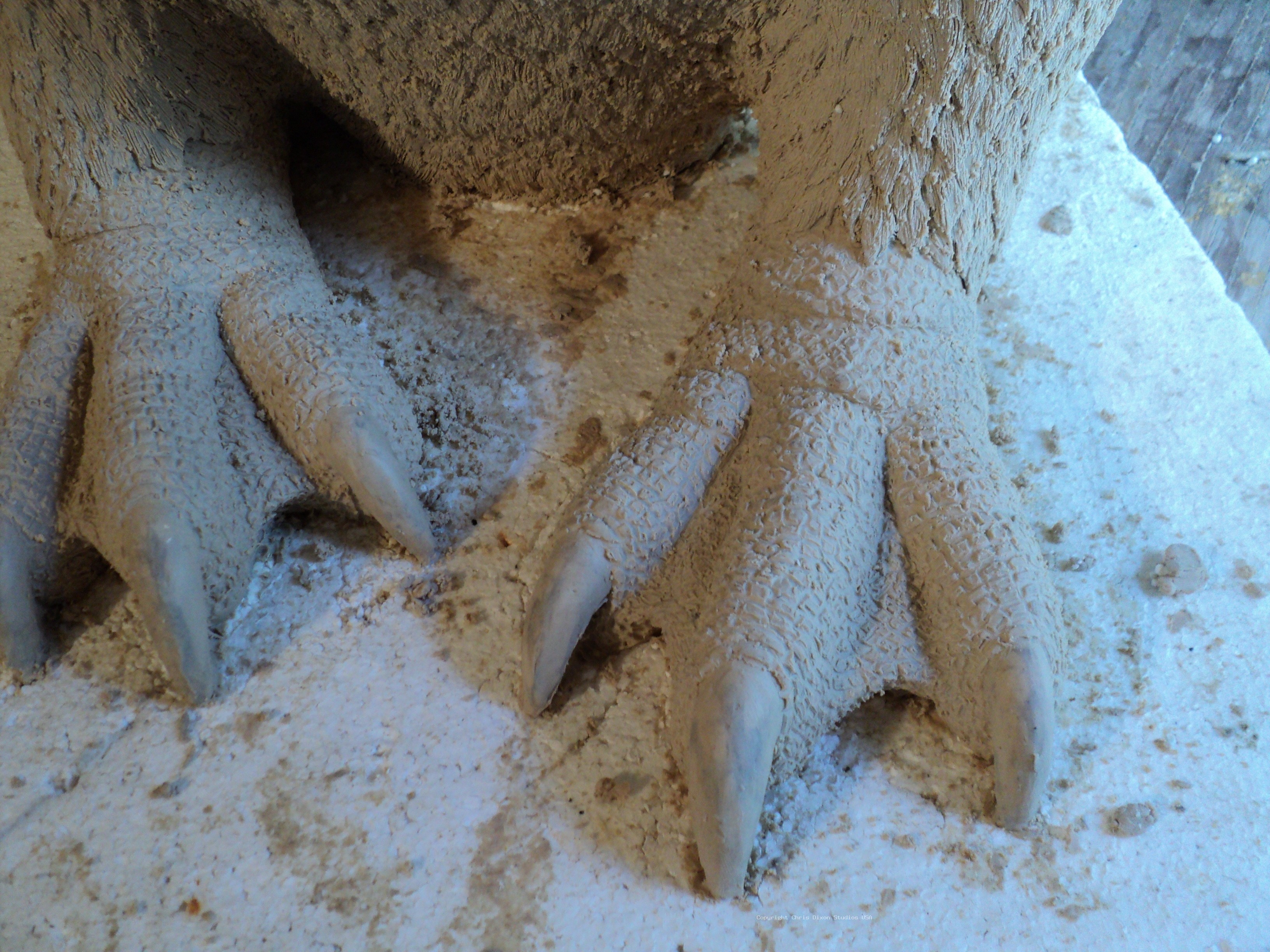 Emperor Penguins Carved80