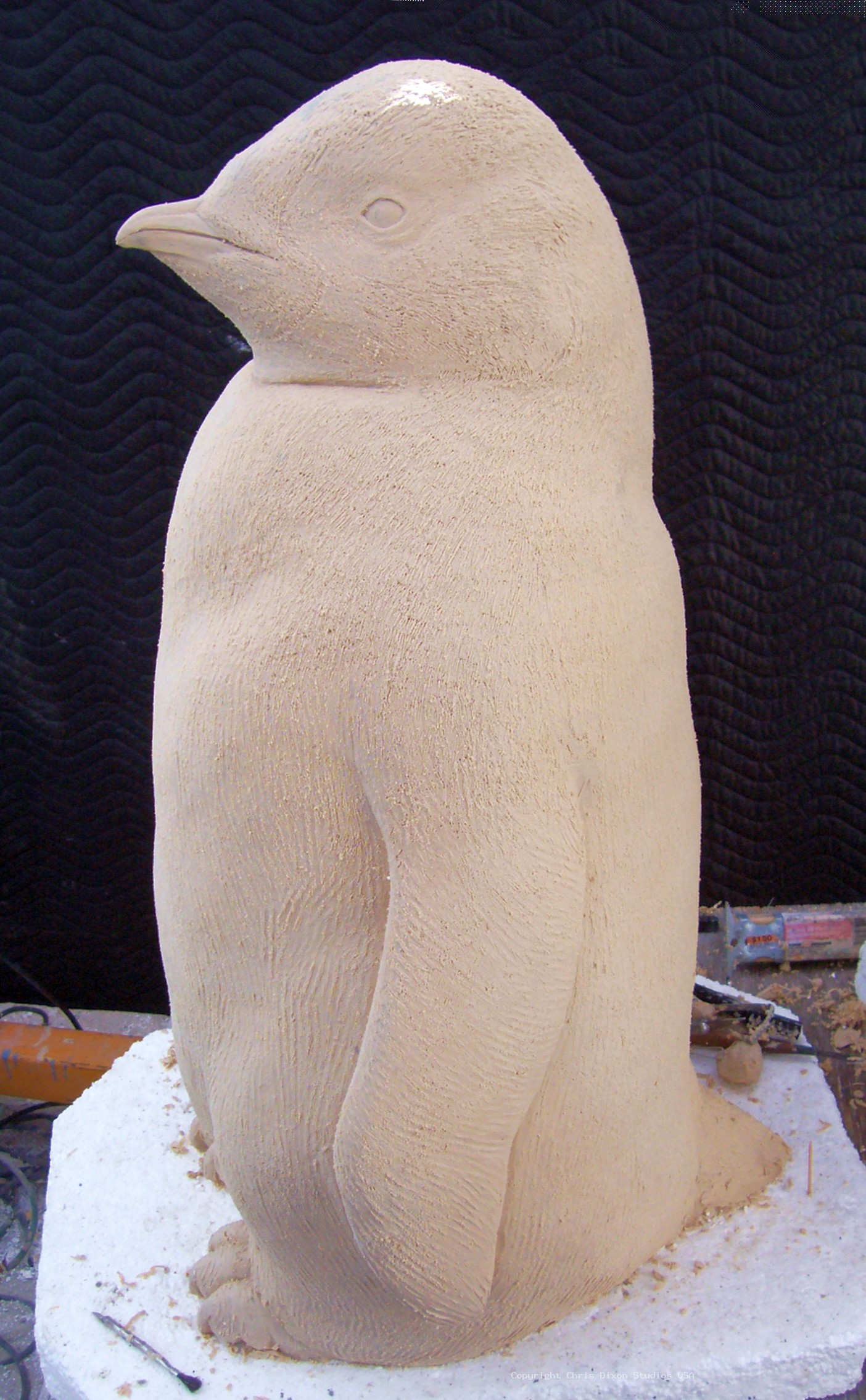 Emperor Penguins Details52