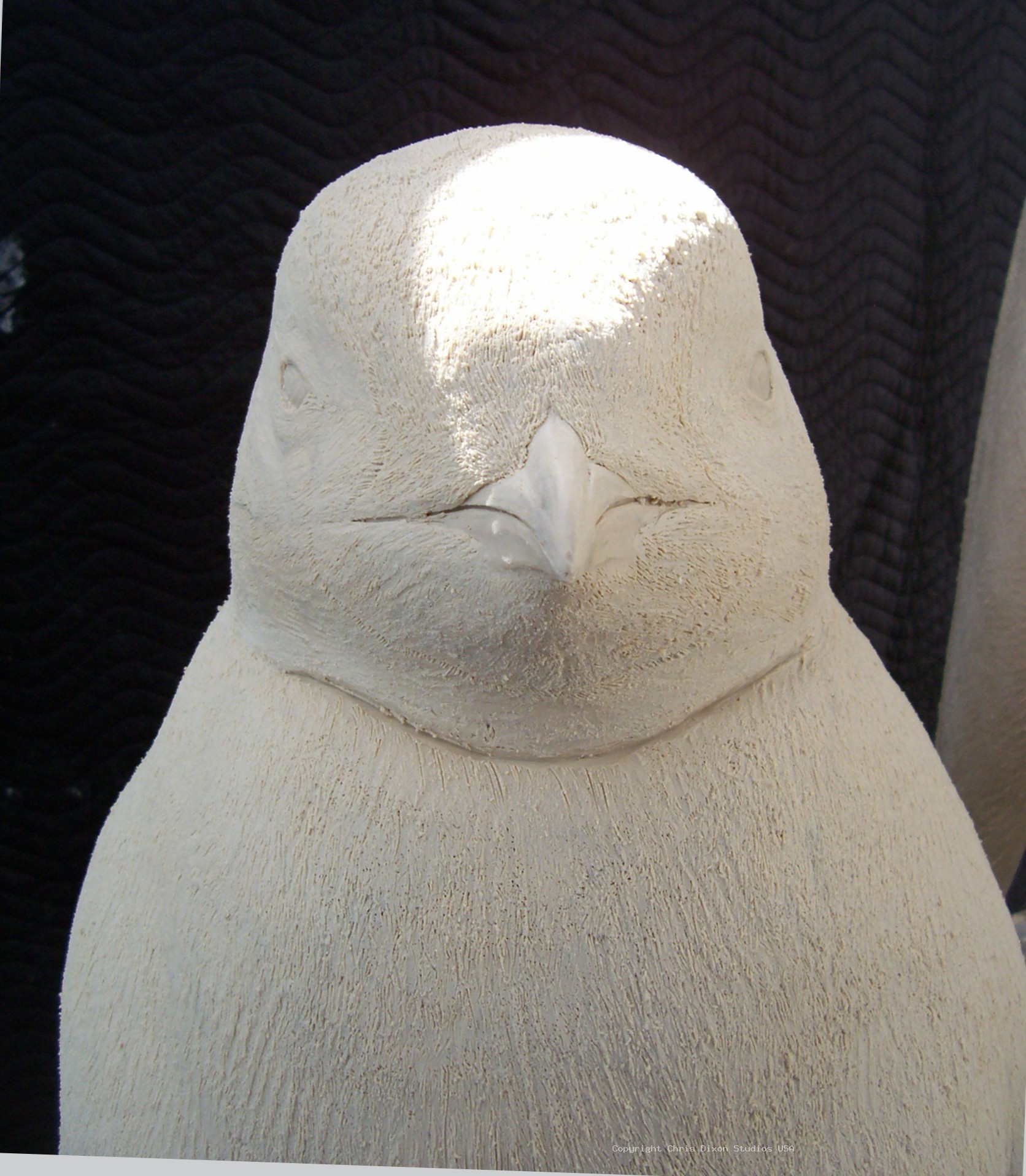 Emperor Penguins Details53