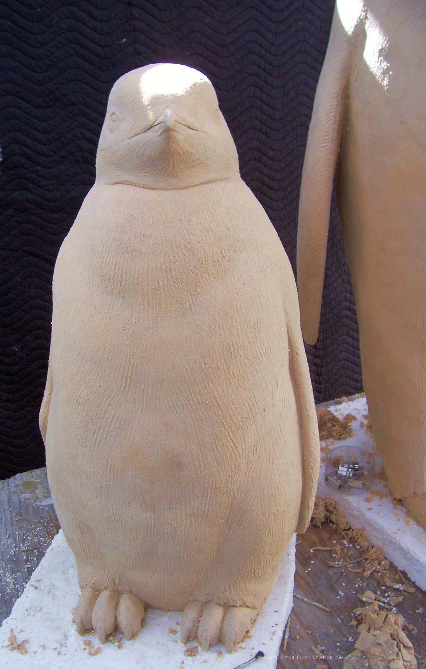 Emperor Penguins Details54