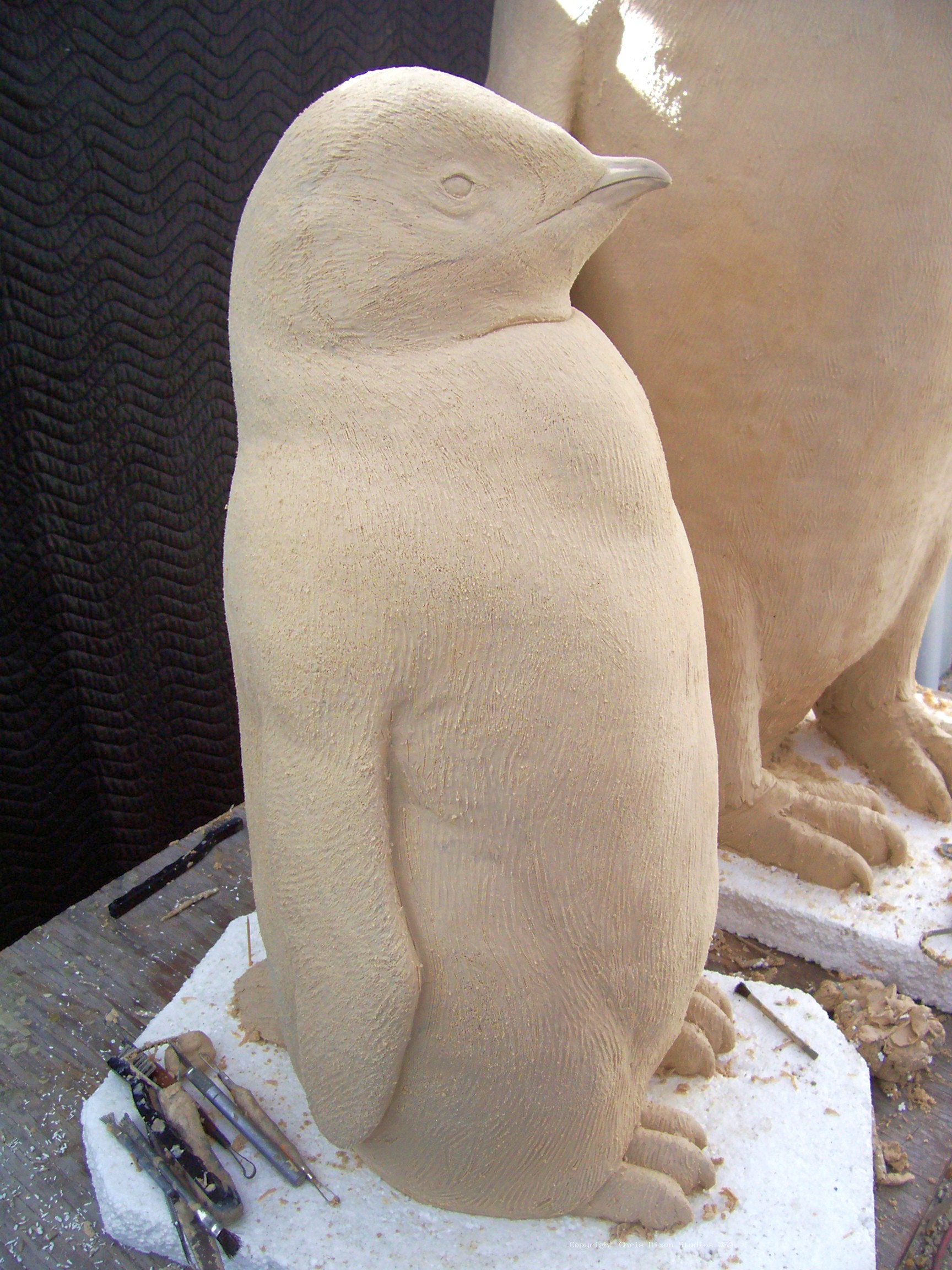 Emperor Penguins Details55