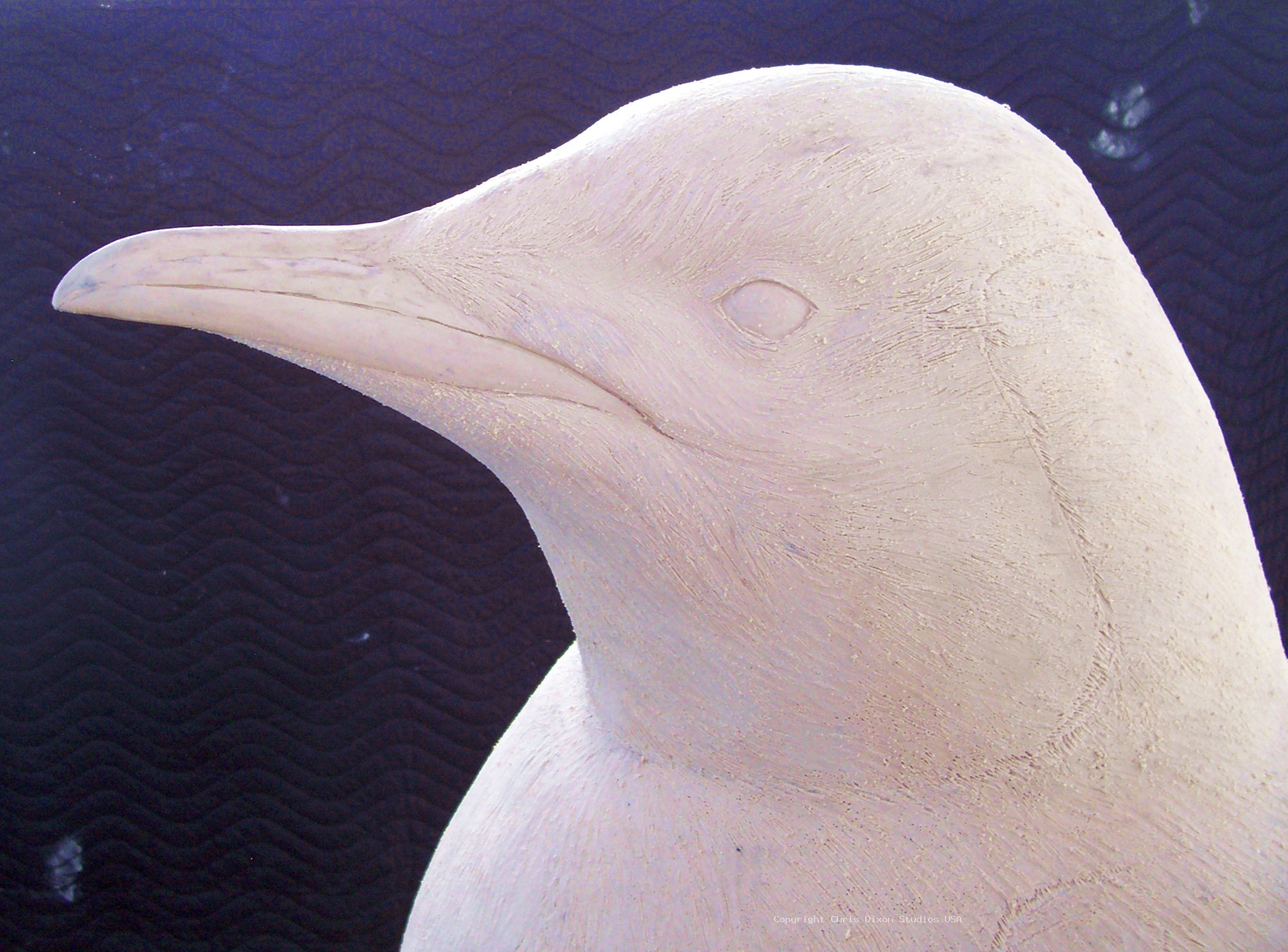 Emperor Penguins Details61