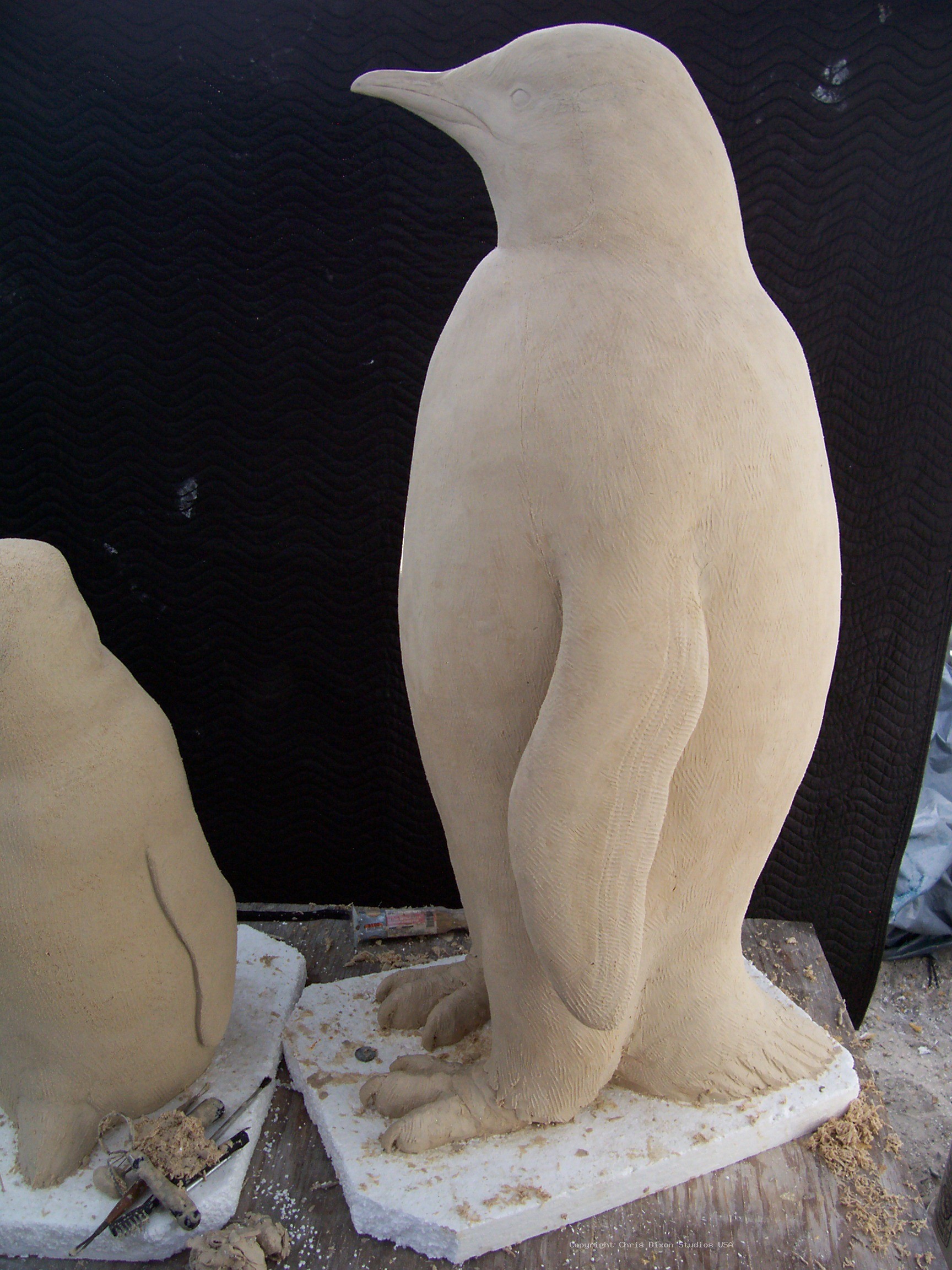 Emperor Penguins Details62