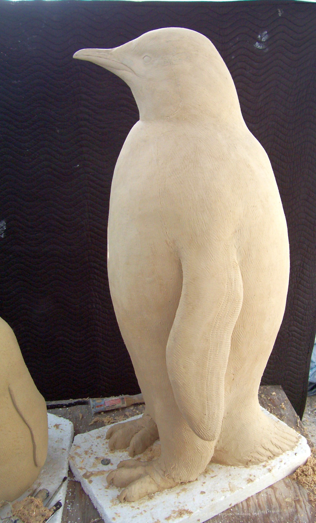 Emperor Penguins Details64